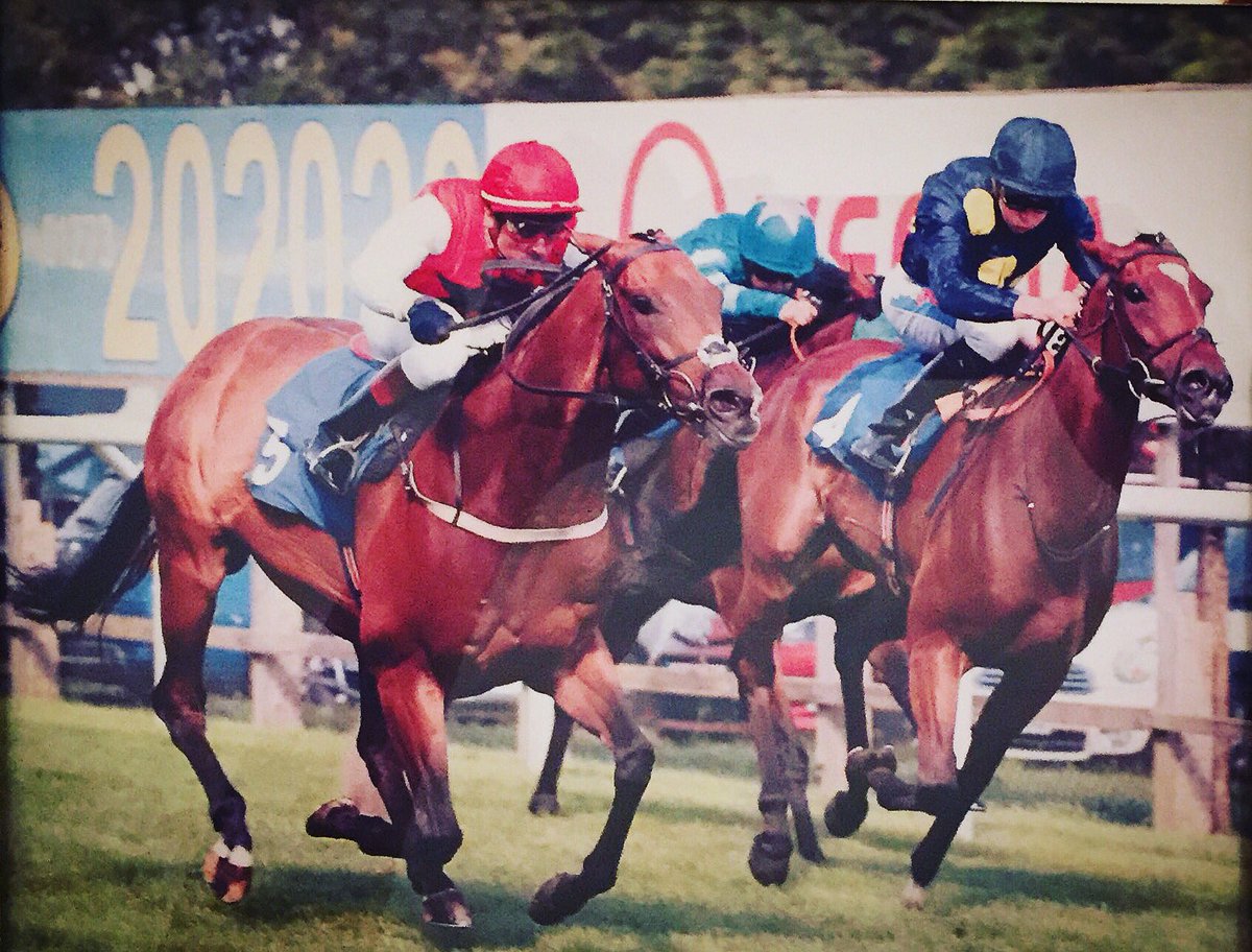 RonHarrisRacing's tweet photo. Vincentti yesterday @BrightonRace #winner #rauldesilva #ronharrisracing #brightonracecourse ππΎππ https://t.co/5foKCB5JIE
