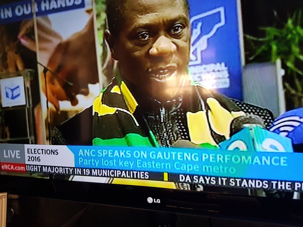 BrainDame tweet media