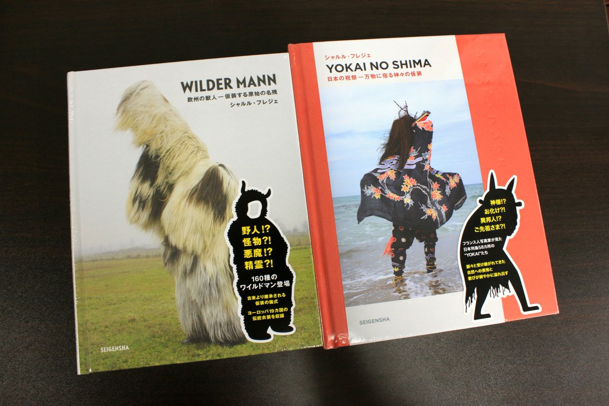 シャルル・フレジェ『WILDER MANN』(青幻舎) が再入荷しました。160種