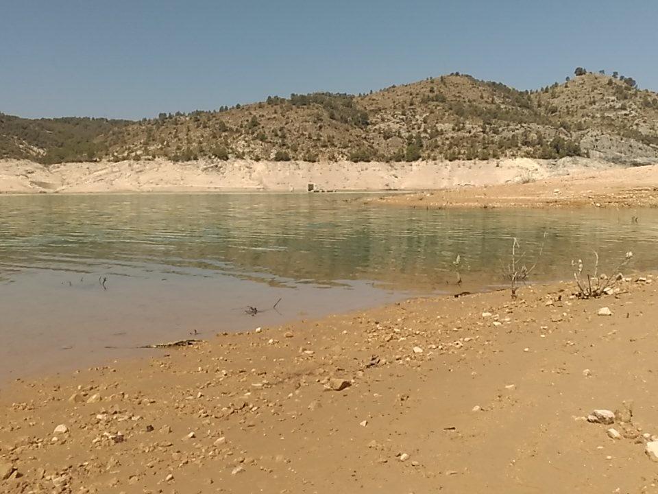 Olcades Aventura tweet media