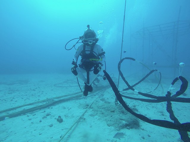 NASA_NEEMO's tweet photo. "So long, and thanks for all the fish!" https://t.co/rI6Zc7vvZg