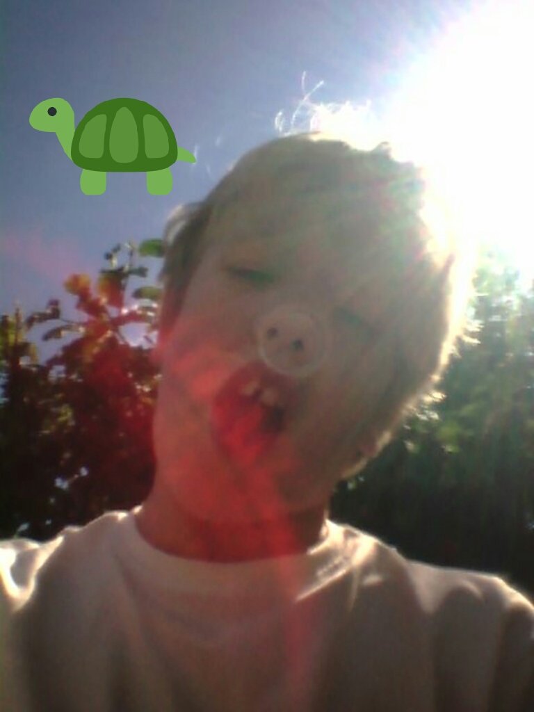 tmntboy868's tweet photo. #having a barb in the sun!!! https://t.co/AvURr5JXze