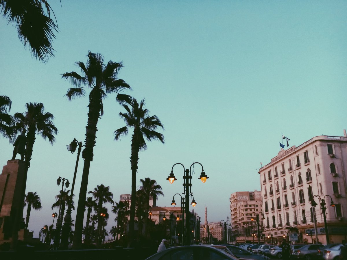 Yara3laaa's tweet photo. #AlexandriaBreakTheInternet
All of them are taken by me https://t.co/FE5QJpEgpq