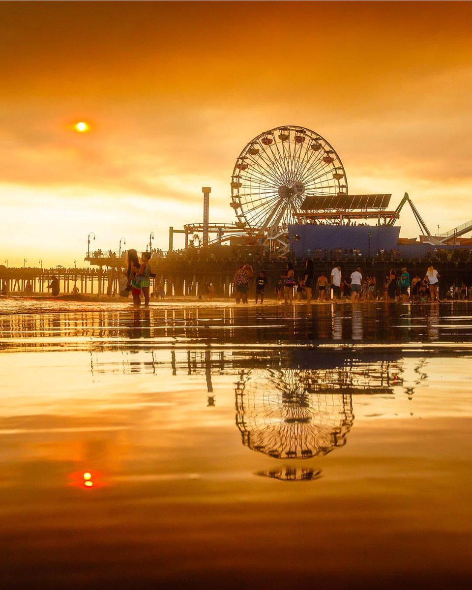 Tripstir app tweet media