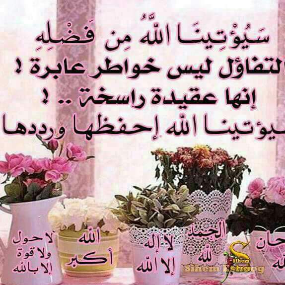asdgzjvdfh's tweet photo. اسعد الله مساكم 
#قروب_بنت_سليم_للدعم 
#قروب_سلطان_للرتويت
#قروب_خجل_الورد
#قروب_للدعم_والرتويت 
#قروب_الندواي_للدعم https://t.co/A71tIhasaU
