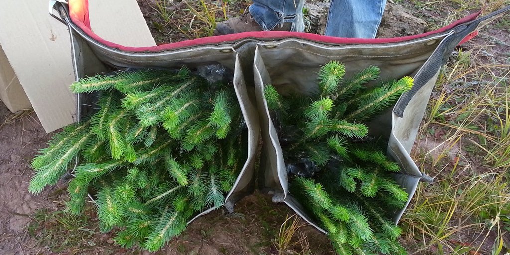 NationalForests's tweet photo. Five NFF Reforestation Projects of 2015 https://t.co/SBgHZVVpaj https://t.co/NQhUqSVawV