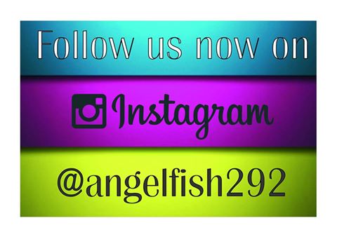 Angelfish292 tweet picture