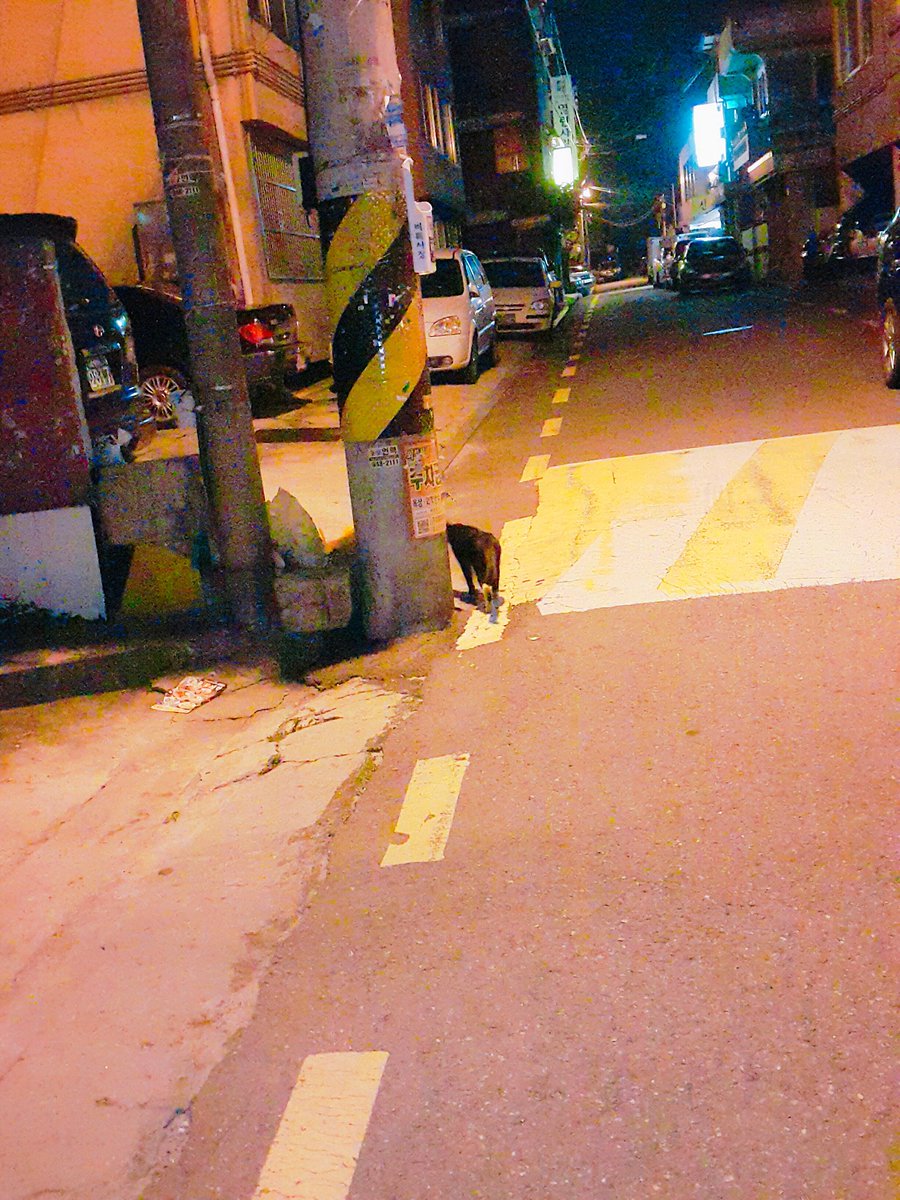 귤까먹어 tweet media