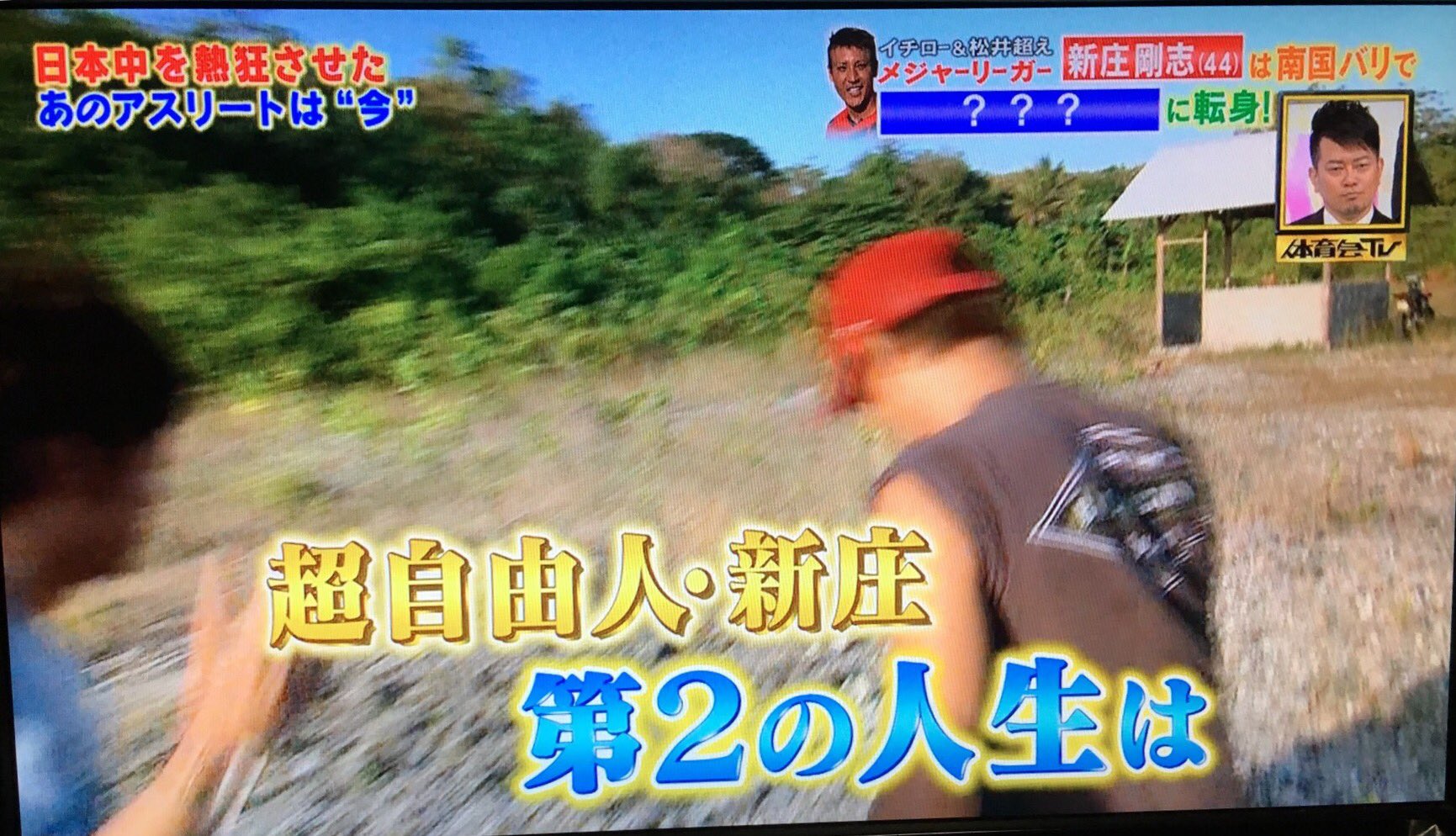 Meg Me G 体育会tv 新庄剛志 Inバリ 本当に規格外な超 自由人だわー バリにcm撮影に来て 夜に浜辺で満点の星空を見て ここに住みたい と思い移住 で離婚 豪邸 モトクロス 次の夢は手作りツリーハウス 価値観は人それぞれだけど