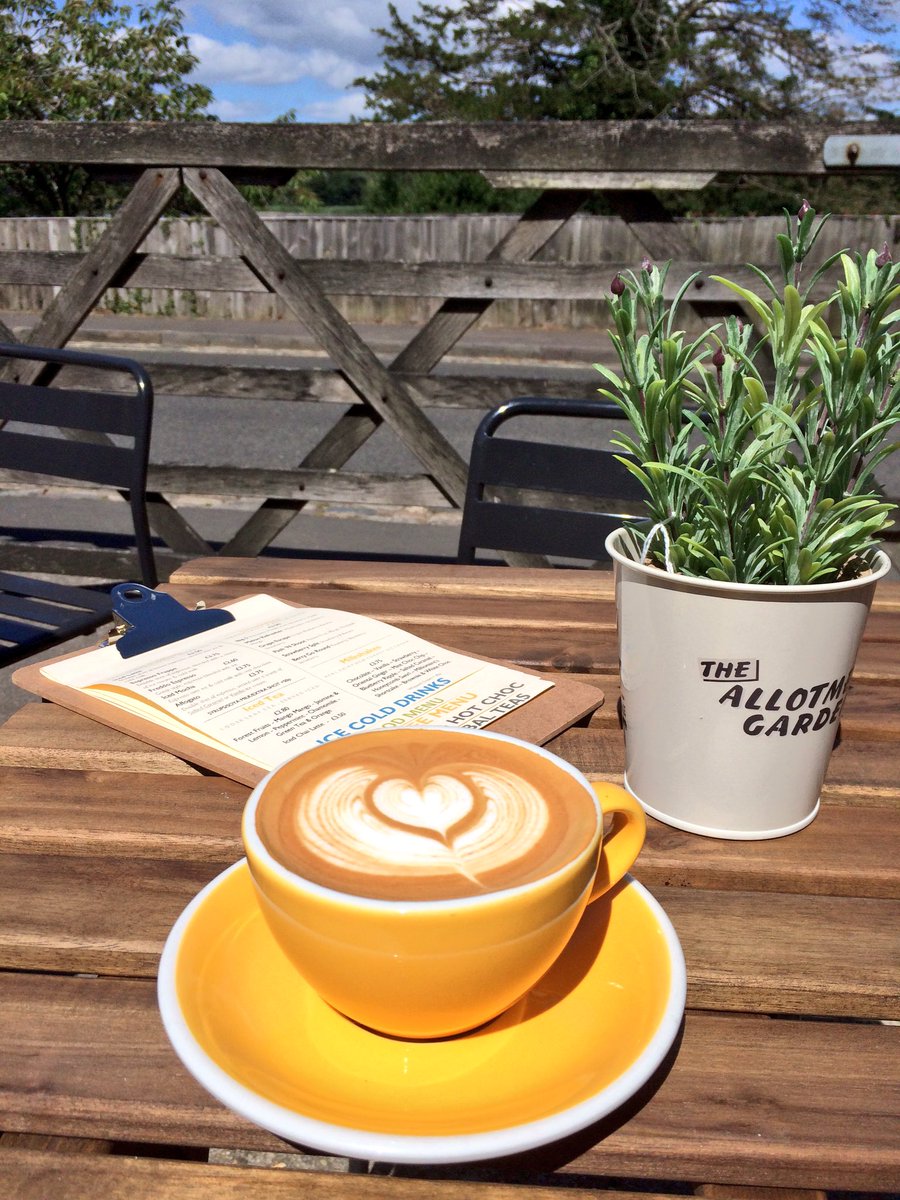 Speciality coffee in the Forest : )