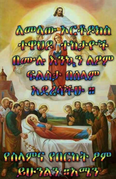 GermaSebel's tweet photo. https://t.co/nwUU1h9FEY