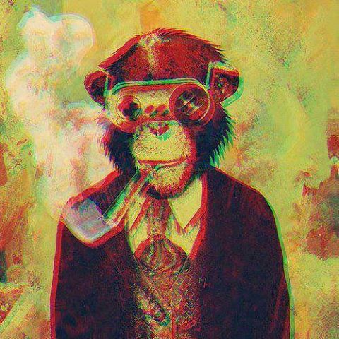 One day I wish to own a monkey of my own