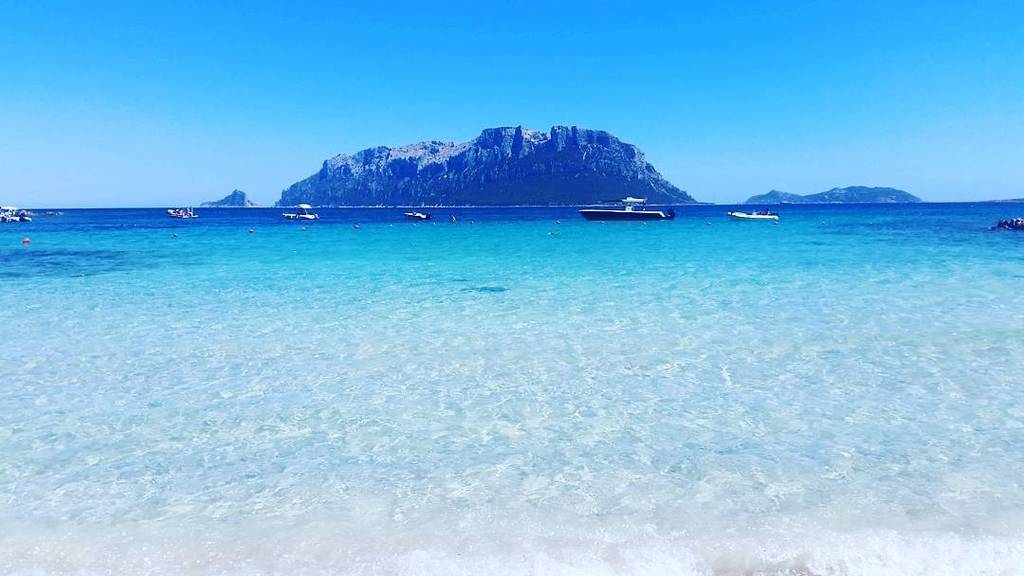 SardegnaAlMare's tweet photo. Grazie a @gallivia per aver usato il nostro hashtag #SardegnaAlMare: Di cosa stiamo parlan… https://t.co/Da7Xmr951g https://t.co/17vG116sM1