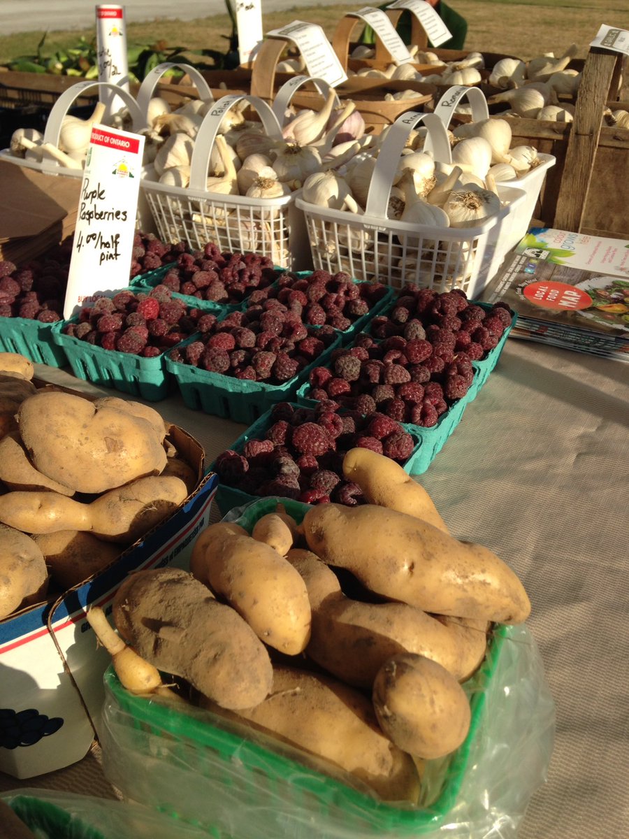 pickegos's tweet photo. Beautiful morning at Orillia Fairgrounds Market :-) https://t.co/ee4TBFhEOY
