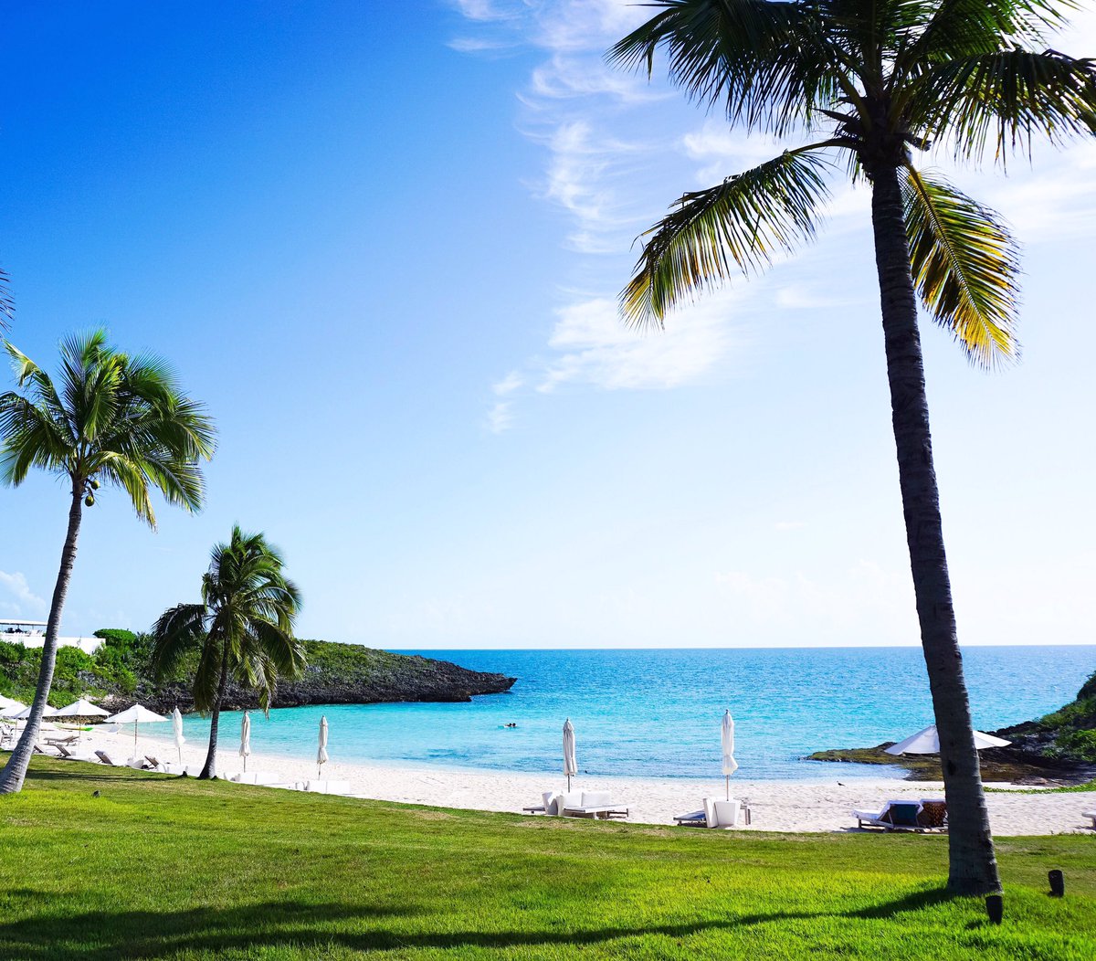 kulioo7's tweet photo. Tickets $$$, Hotel $$$$, Being in #paradise priceless🌴☀️ https://t.co/XHMgq2FmNA
