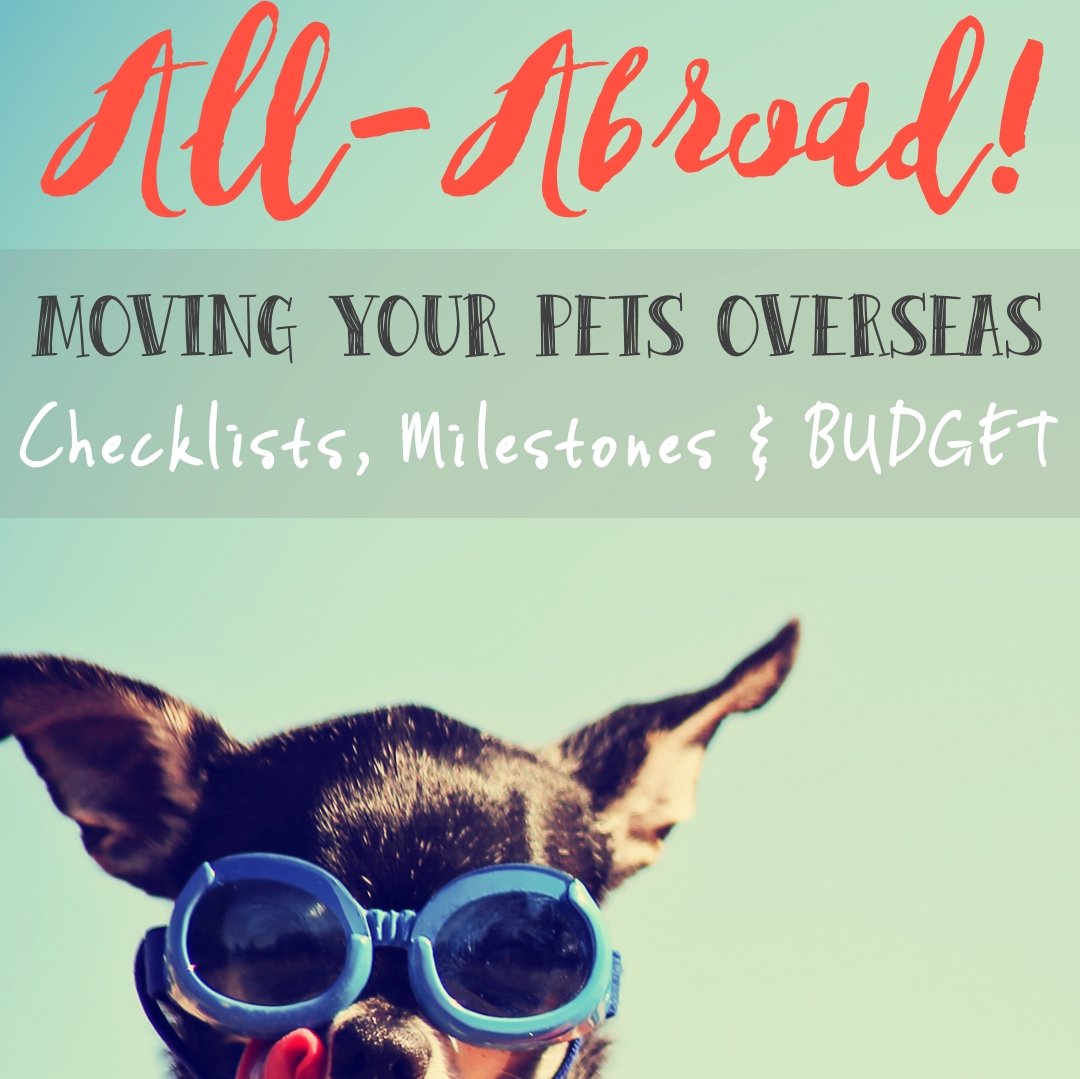 BrendaFaucon's tweet photo. #travel #moving with #cats and #dogs #OverSeas? Be your inner #pets re-locator! #giveaway https://t.co/vUK6PFm8VE https://t.co/4Keg94WqPp
