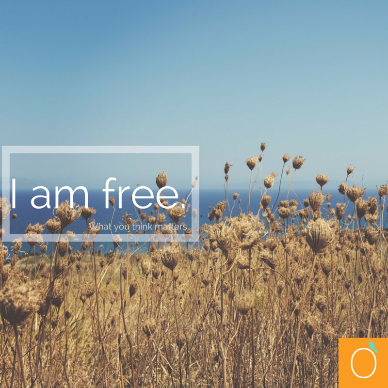 FitMango's tweet photo. Inhale freedom. Exhale what weighs you down. 
https://t.co/IB80vLzTXE https://t.co/gCZ9mPKBAf