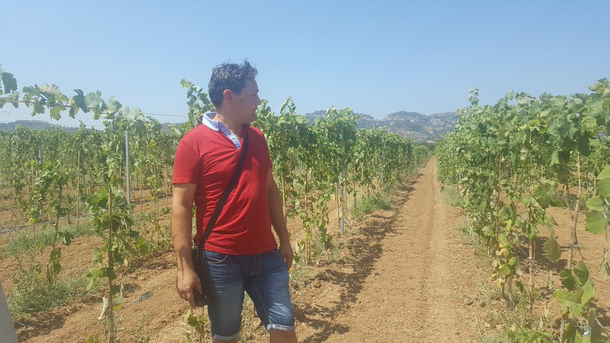 ricasoli99's tweet photo. Have a great #wineweekend...here from two wineries visited yesterday @cotedifranze and #vinidallaquila #gaglioppo https://t.co/sf05vMcbbC