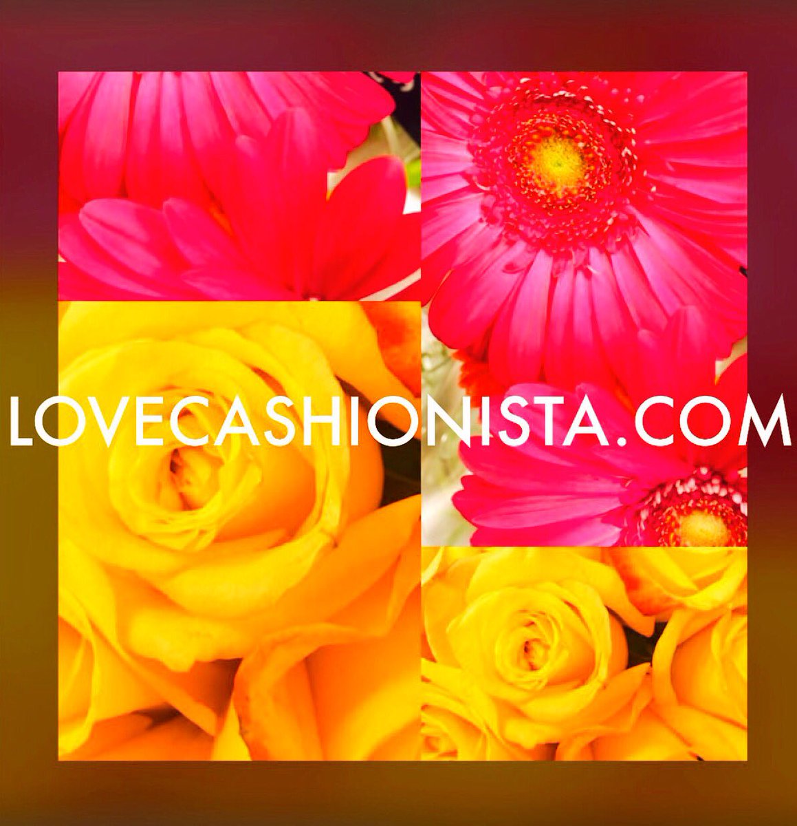LOVECASHIONISTA (@lovecashionista) on Twitter photo 