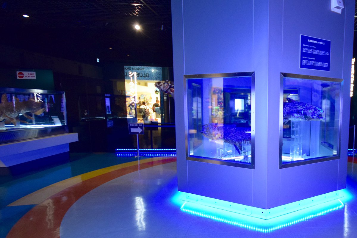 Yoshi On Twitter ラブライブ サンシャイン 6話背景 沼津港深海