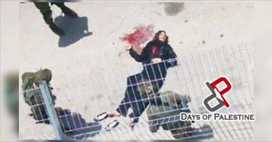 in3dmu's tweet photo. UN warned of #increasing Israeli use of #excessive_force and #extra_judicial killings against Palestinians https://t.co/FdEF1ysodf