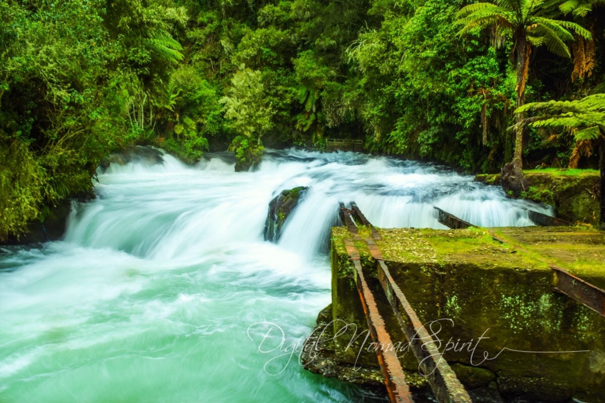 digitalnomad123's tweet photo. Okere River off Lake Taupo https://t.co/N854j1Yi85 https://t.co/UENlPNHLbn