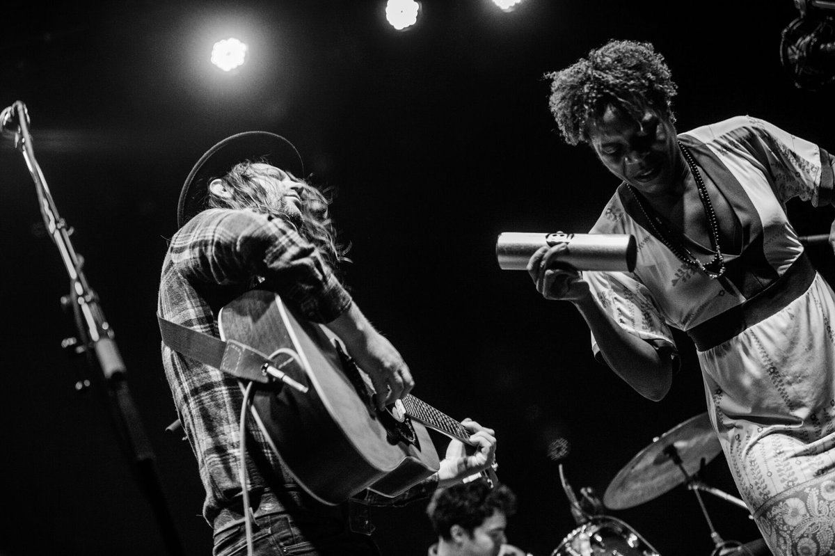 Song Dogs tweet media