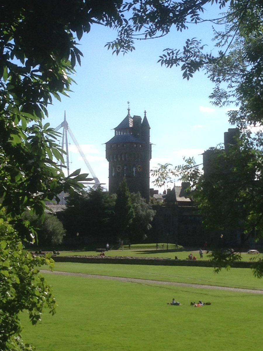 SeptimusSlater's tweet photo. Nothing if not patriotic #cardiffcastle #wales https://t.co/3MlUmNKr3K