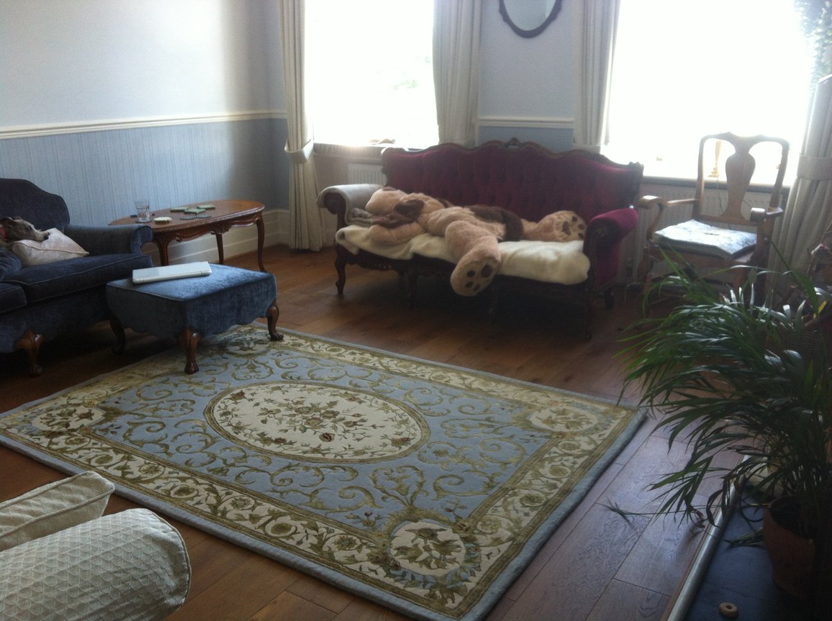 Benxday's tweet photo. Just bought a rug. Really ties the room together. https://t.co/u2i699MHIT