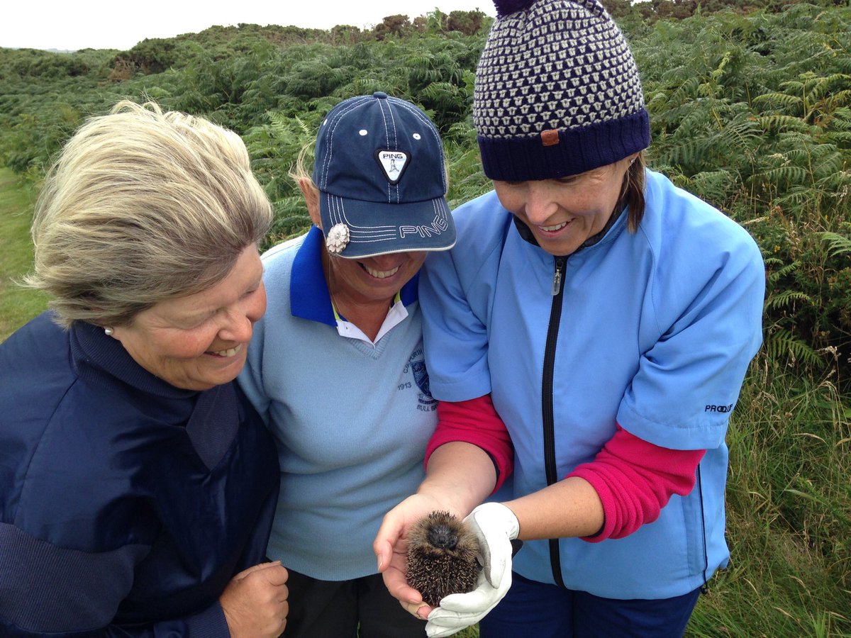 Lowri_Amlwch's tweet photo. Diolch @bullbaygolfclub - #OpenWeek anhygoel arall!Bechod ma dim ond 1waith y flwyddyn ma'n digwydd!🏆 @golfingwales https://t.co/ipDSofPknI