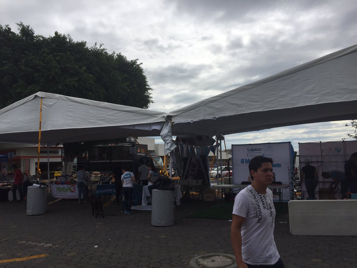 DannielaGeomar's tweet photo. En los preparativos del Día del Perro en Plaza México #AlumniService Gracias @YurGuz @Gerardosedano https://t.co/ODPsz3BvH7