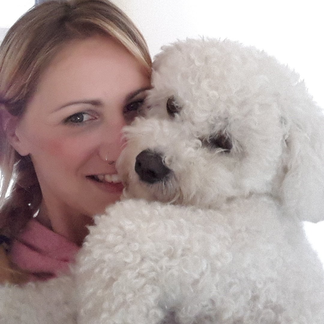 DiariesBichon's tweet photo. Charlie is happy to live in #brighton #bichon #bichonfrise #PrideBrighton https://t.co/A4owlVIPYJ