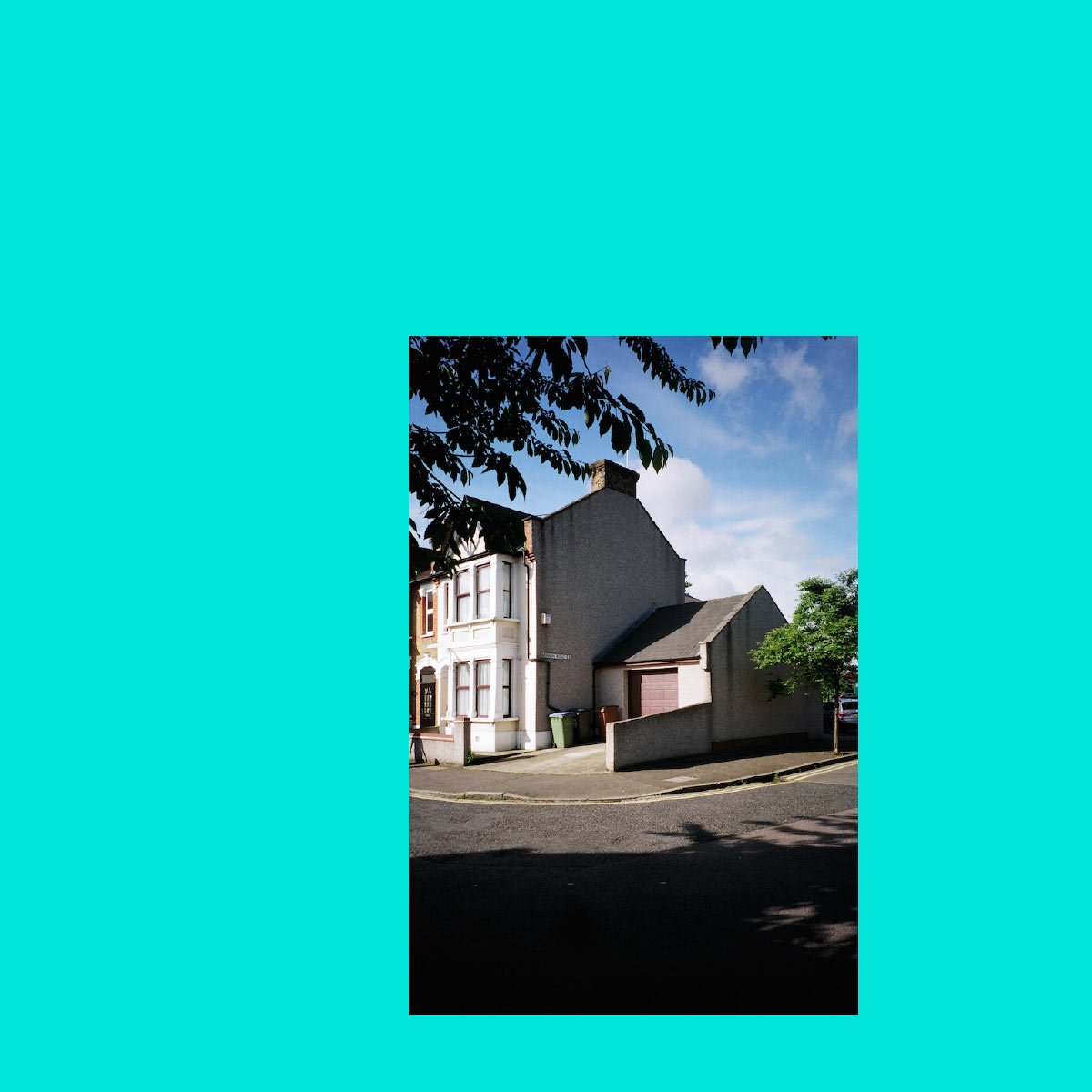 SEVERAL; tweet media