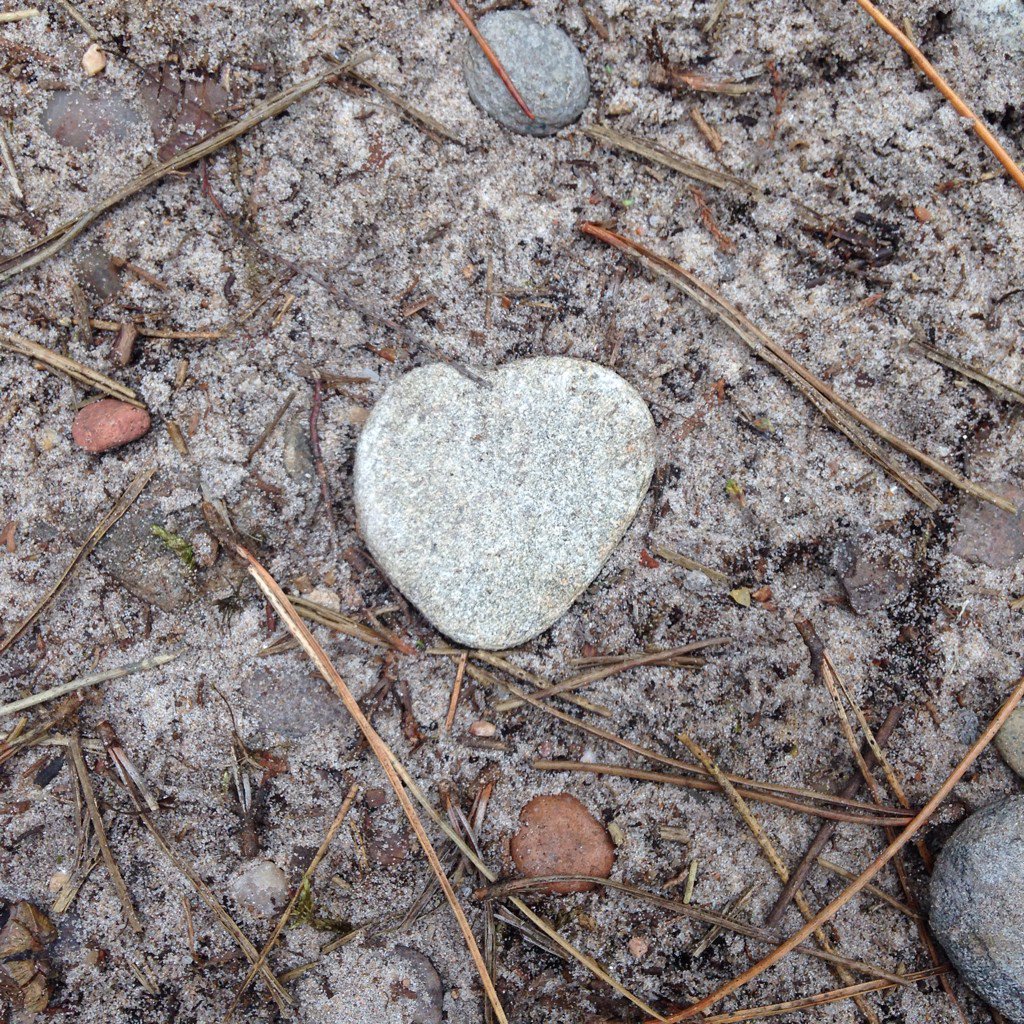 SandraOrd1's tweet photo. Love walking at #findhornbeach https://t.co/vn2mObJteQ