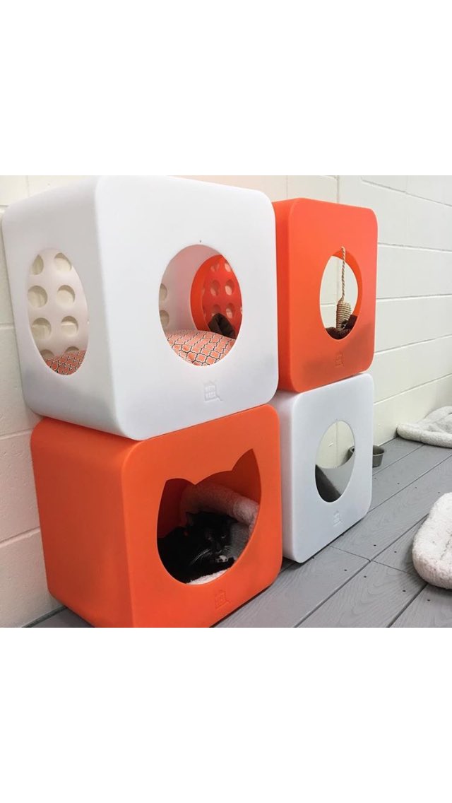 KittyKasas's tweet photo. @Dogcruces Meow! Thank you for the compliment. We ❤️❤️❤️ to help #animal rescue organizations https://t.co/FJGhORz8Y8