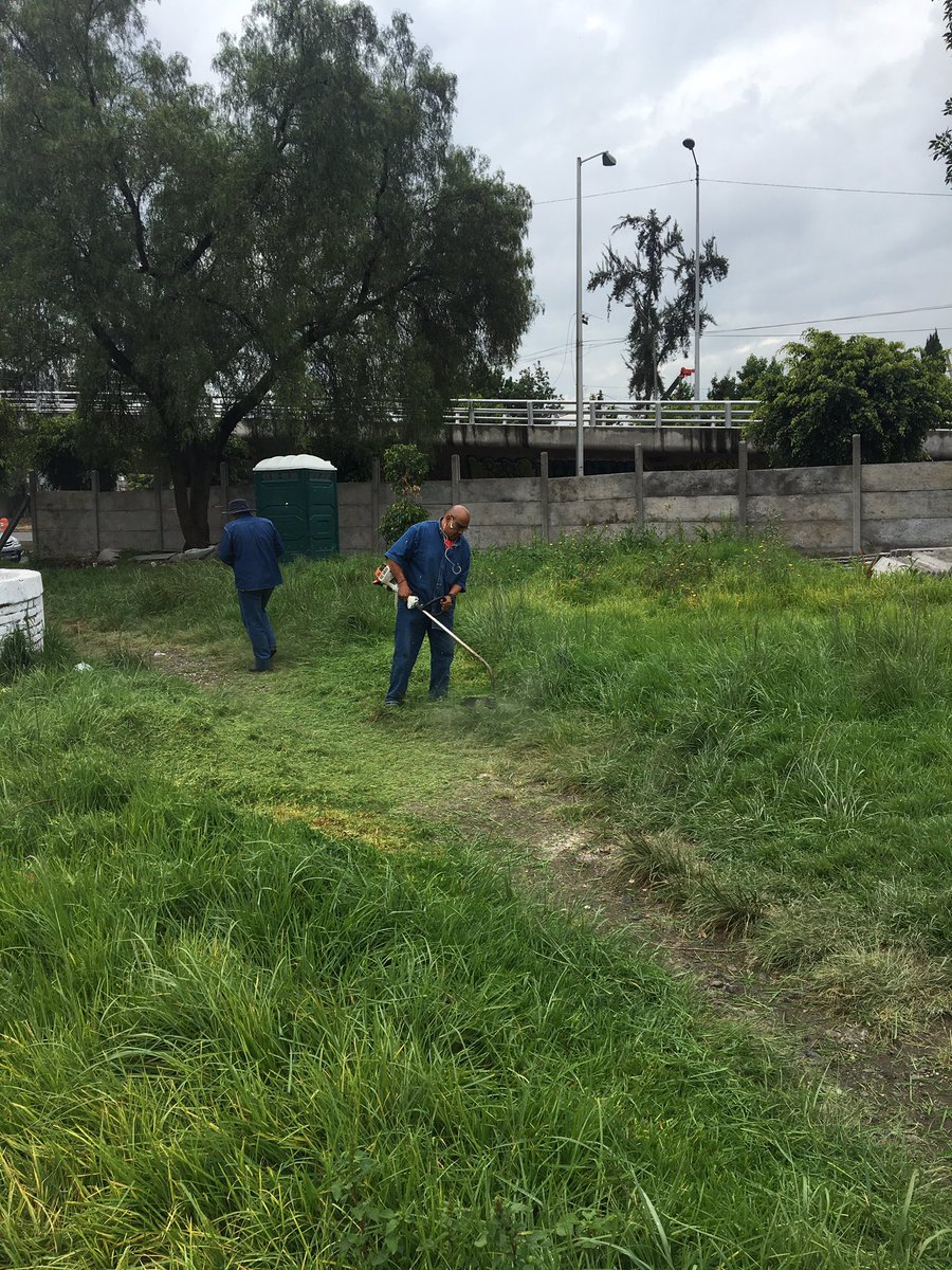 artur_dima's tweet photo. Díganme si es posible que la @UNAM_MX  mande a sus trabajadores a invadir una área verde en Culhuacan expliquen https://t.co/eATktZixrD