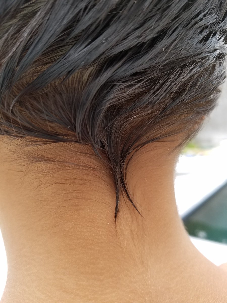 DameSparkula's tweet photo. M: I love my tail. Please never cut it.
*slips scissors back in pocket*
#whitetrashstyle ✌ https://t.co/IdRwiIjKCX
