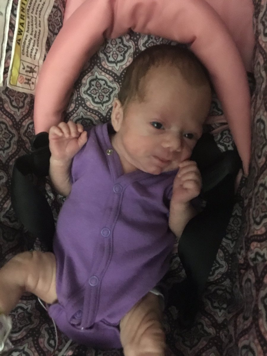 celinalanders's tweet image. 