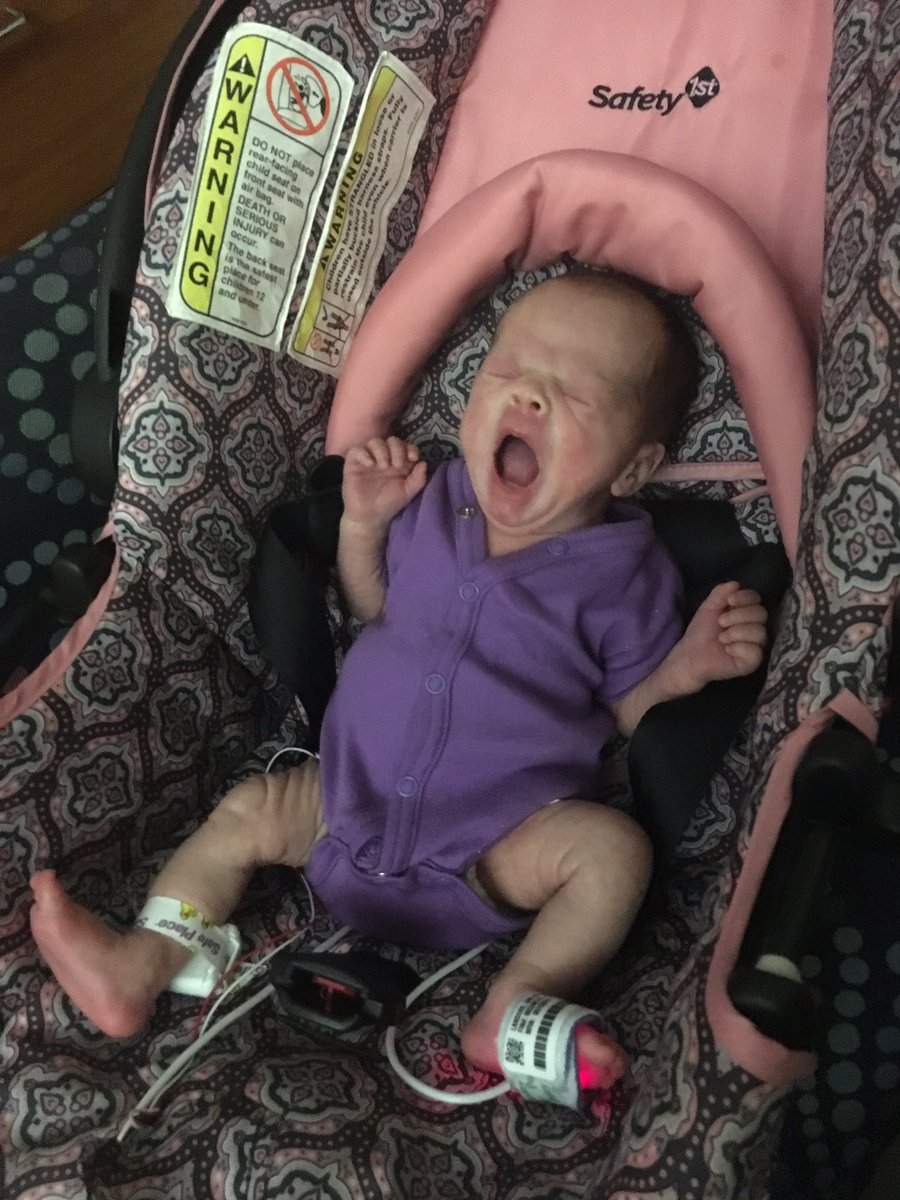 celinalanders's tweet image. 