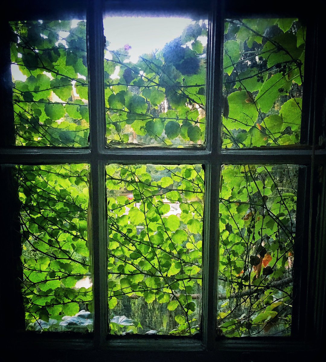 New bedroom view 🌿