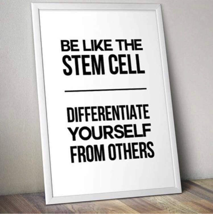 FoliumArts's tweet photo. Be like the stem cell :) https://t.co/sMjW2Je926
