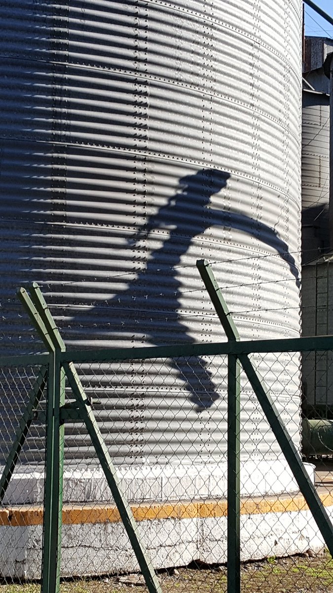El hombre que huye del silo
