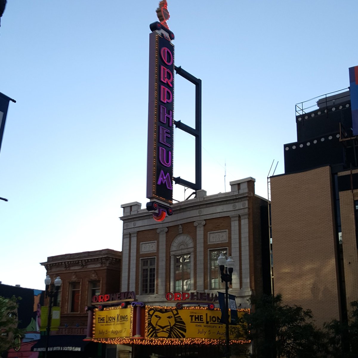 mikej_96's tweet image. Lion King!!