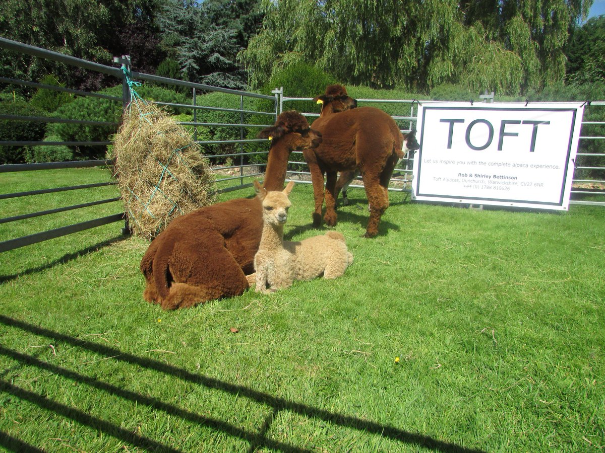 SarahLUnwin's tweet photo. Had a fantastic time at #TOFTfest celebrating #toftis10 I can't wait to see what the next 10 years bring!!! https://t.co/VJKrmHjiXZ