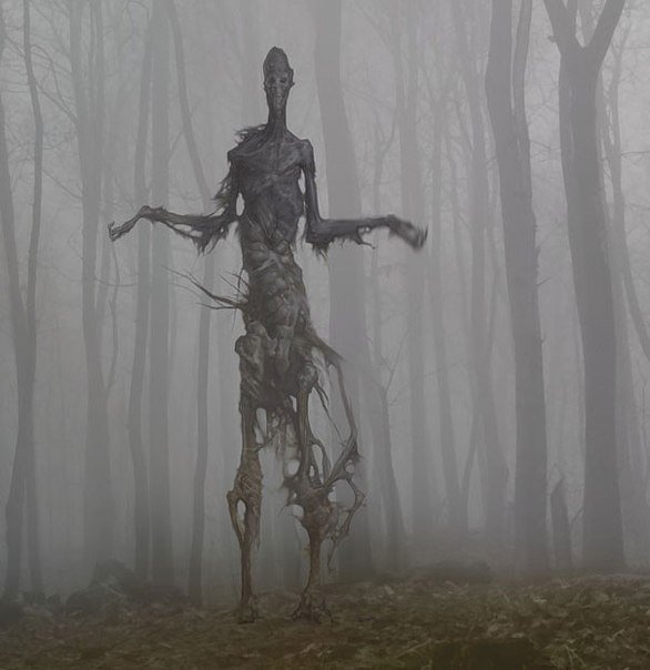 SimonsCat_00's tweet image. Died of boredom