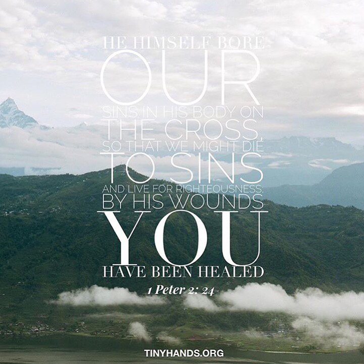 LoveJusticeIntl's tweet photo. #tinyhandsintl #nonprofit #thi #tinyhandsinternational #humantrafficinterception #humantrafficking https://t.co/ZWeBnJN8Qi
