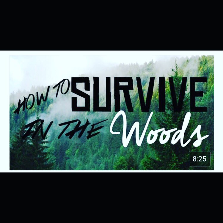 connorstube's tweet photo. NEW VIDEO FEAT @AidanKyleLau  how to survive in woods subscribe and like :) https://t.co/LUuo7JxIHF https://t.co/3Zxq0cEqu6