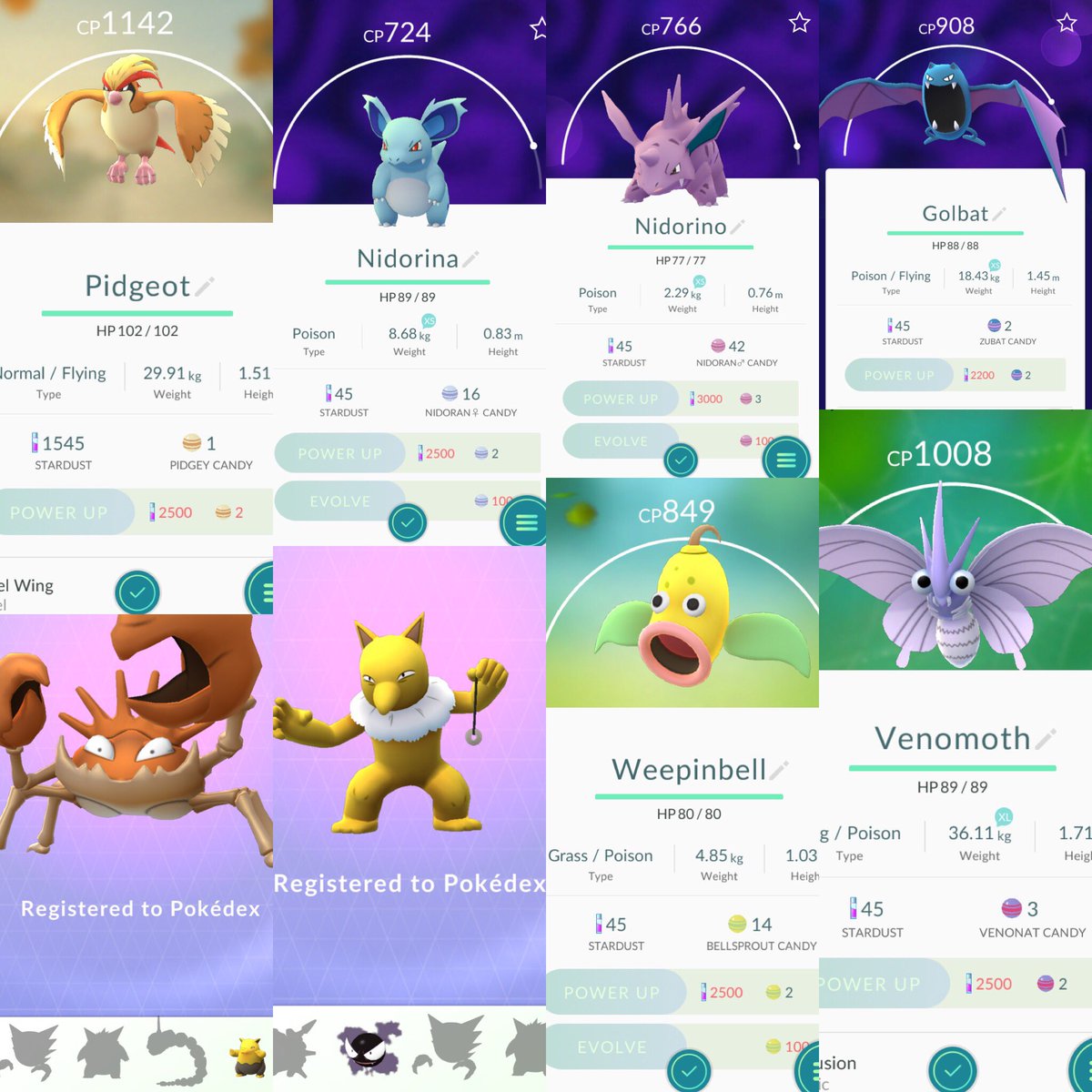 cg_fierybros's tweet photo. #fierybeast #evolution #pokemon #pokemongo #gaming #mobile #royale #clashroyale #clash #supercell #follow4follow https://t.co/pfJze011Nu