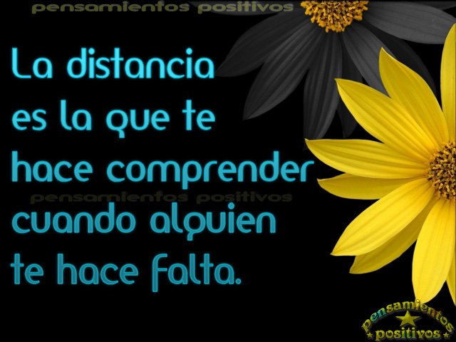 Amarilys perez tweet media