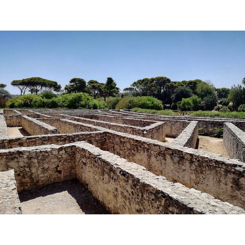 JackeINPROGRESS's tweet photo. Il #labirinto in pietra viva del #CastellodiDonnafugata #Donnafuata #Ilraccontodeiracconti https://t.co/8K6YwoJU5H